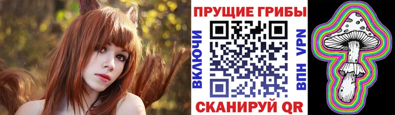 Псилоцибиновые грибы Cubensis  Шарыпово 