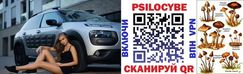 Псилоцибиновые грибы Psilocybine cubensis Шарыпово