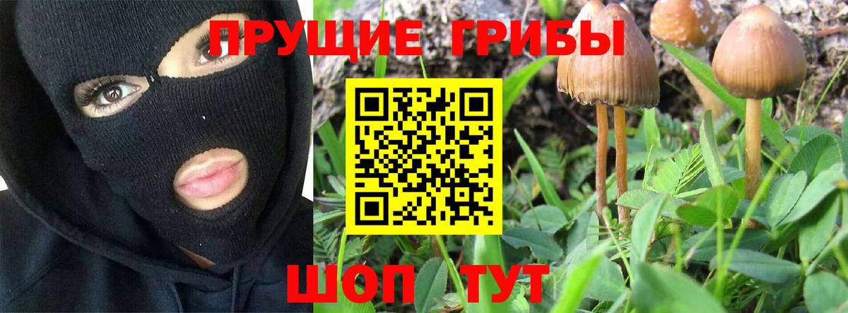 Галлюциногенные грибы Psilocybine cubensis  Вход с VPN  Шарыпово 